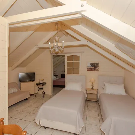 Tsolakis & 2* Лаганас